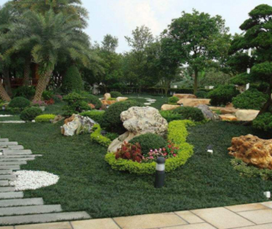 草坪綠化養護工程